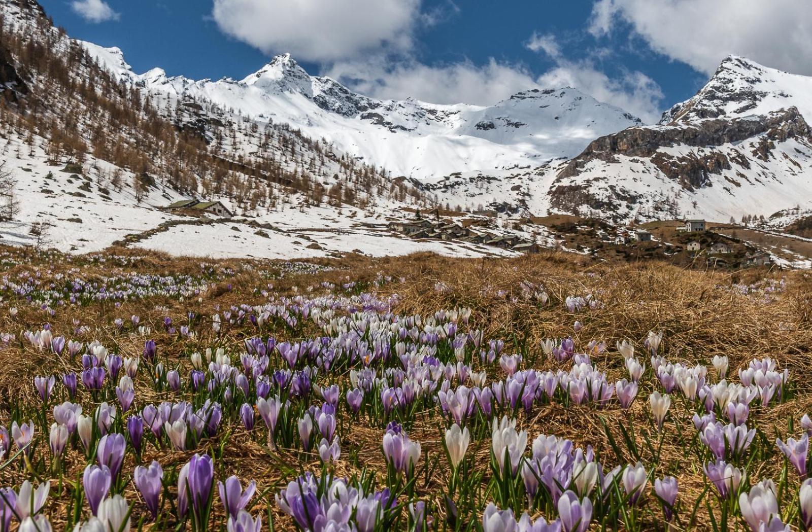 Belcolle, Il Bello Della Tranquillita Chiavenna Buitenkant foto